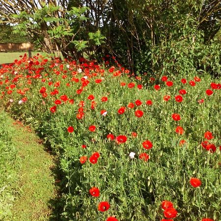 La Pause - Val De Loire Acomodação com café da manhã Chabris Exterior foto