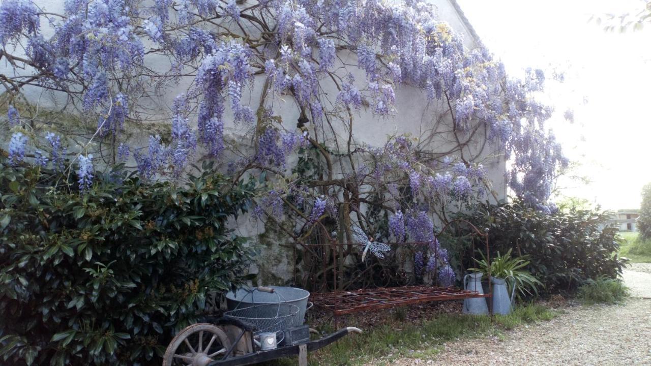 La Pause - Val De Loire Acomodação com café da manhã Chabris Exterior foto